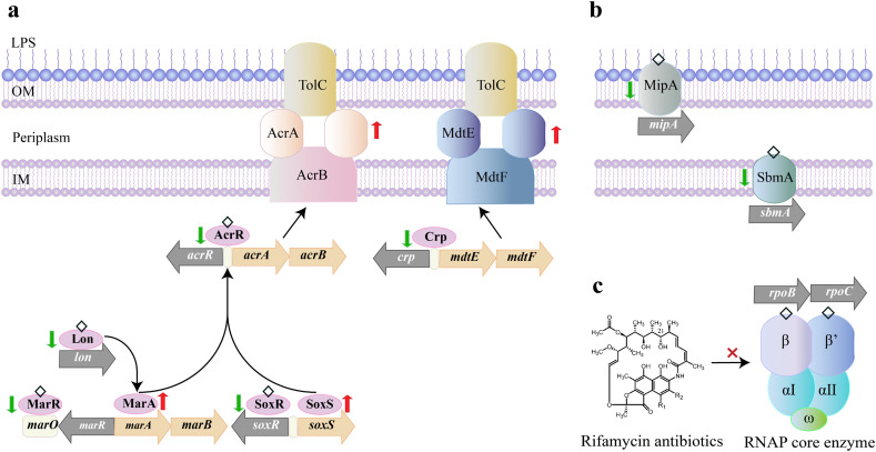 Fig. 4