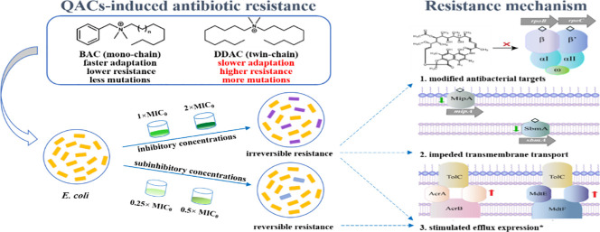 Unlabelled Image