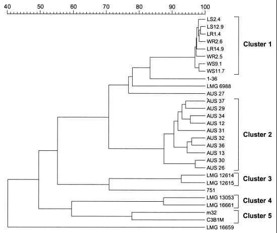 FIG. 1