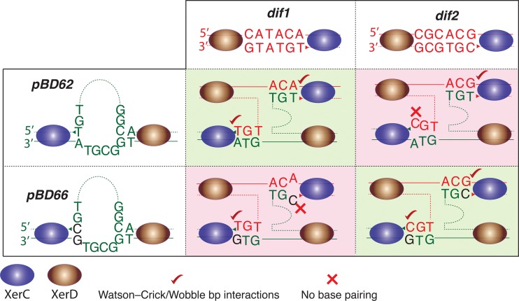 FIG 3