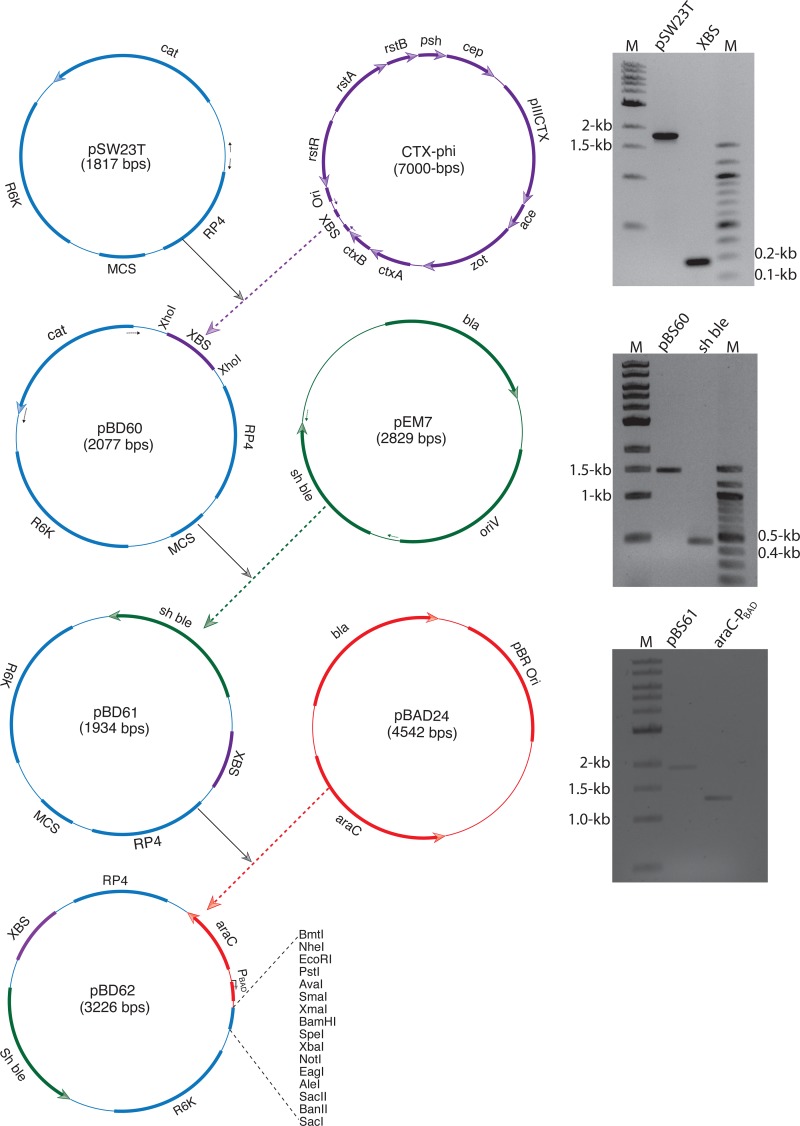 FIG 2