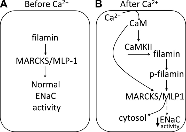 Fig. 9.