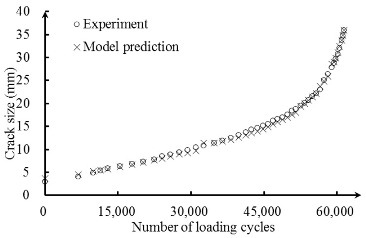 Figure 19