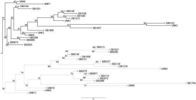 Fig 3