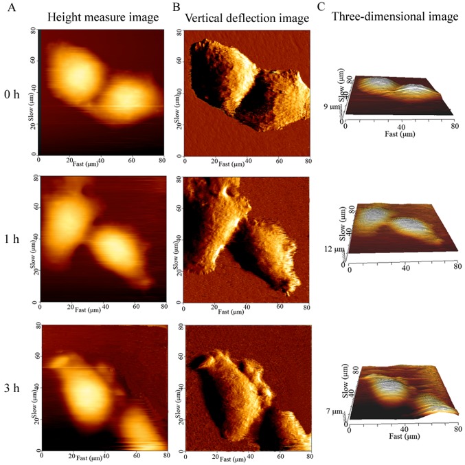 Figure 4.