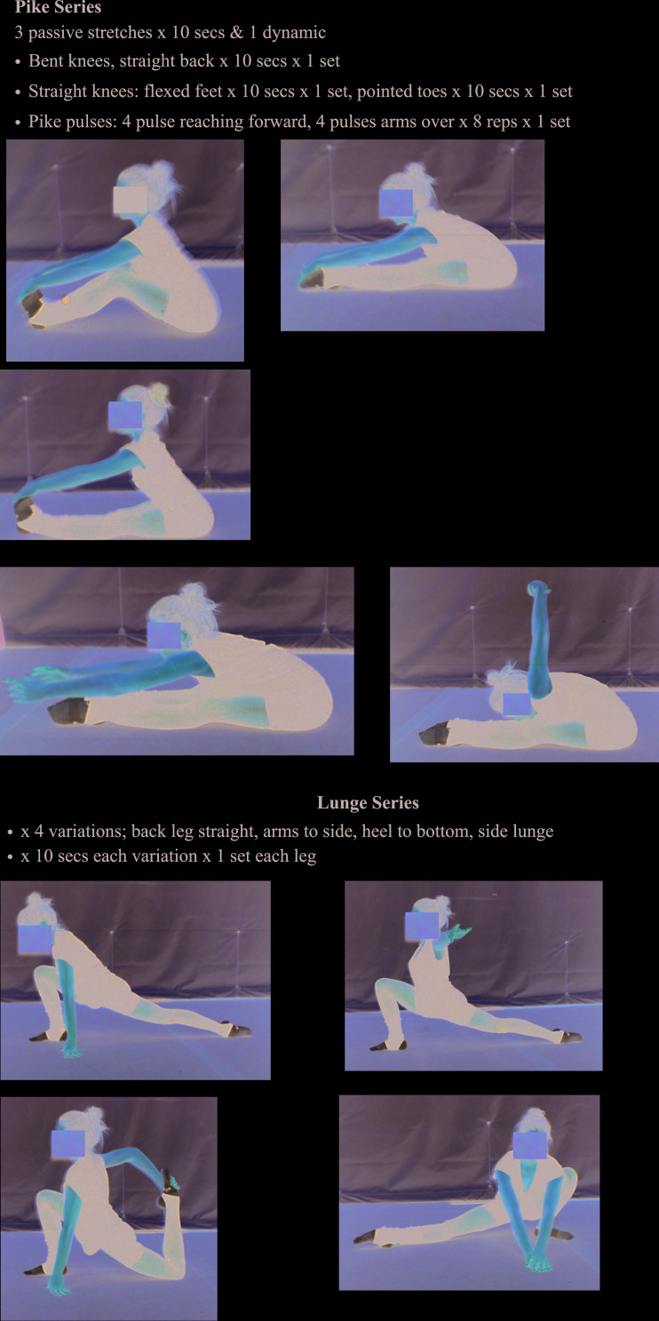 graphic file with name ijspt-15-343-A002.jpg