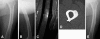Fig. 3A–E