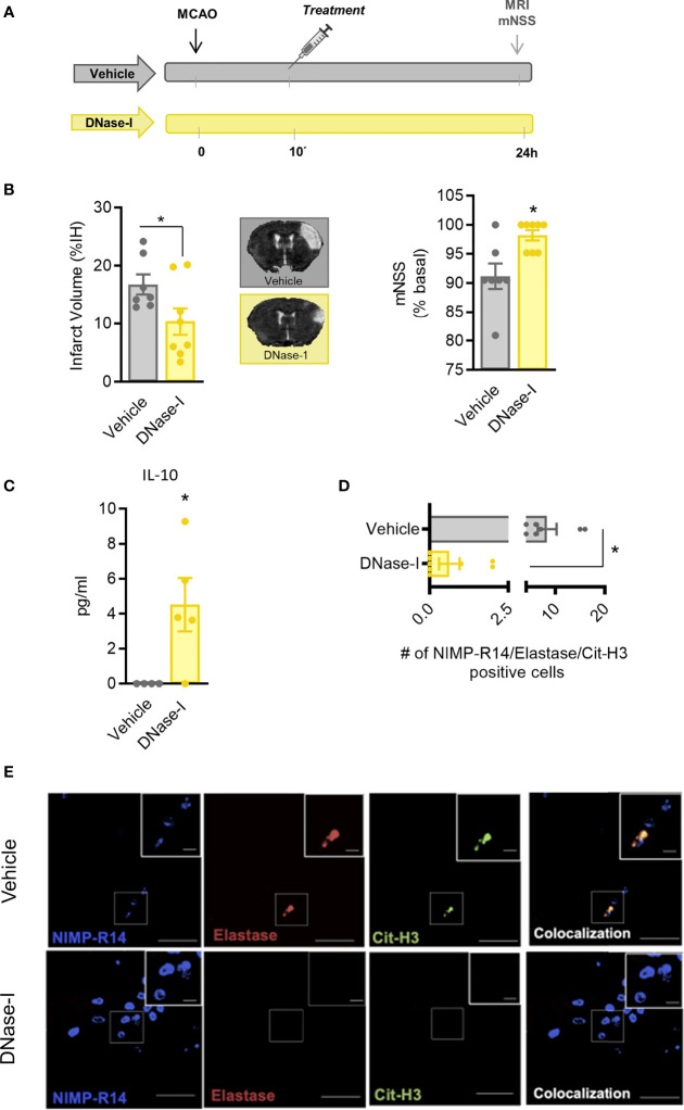 Figure 3