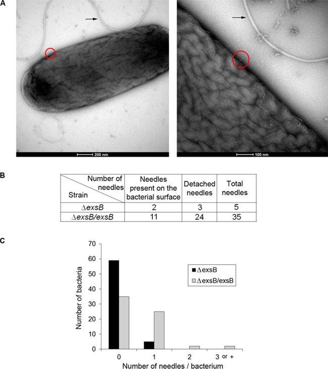 FIG 4