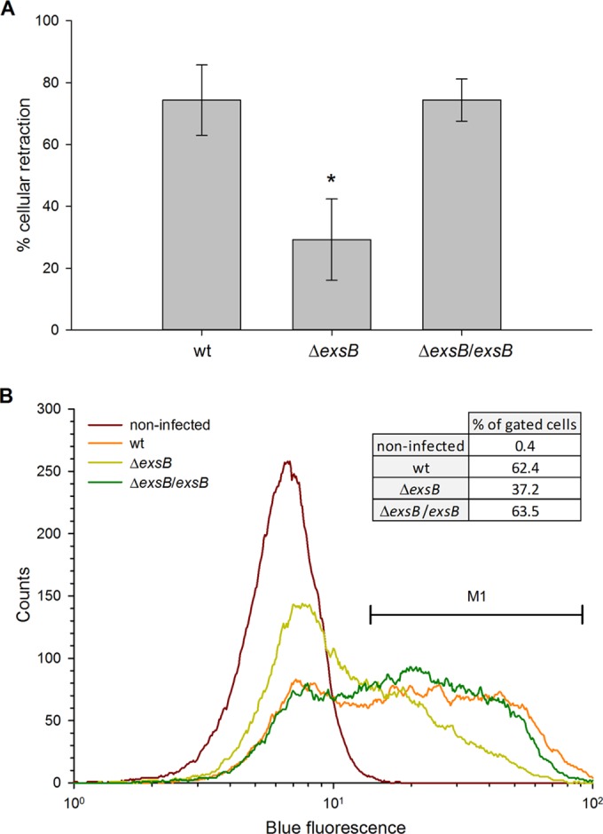 FIG 2