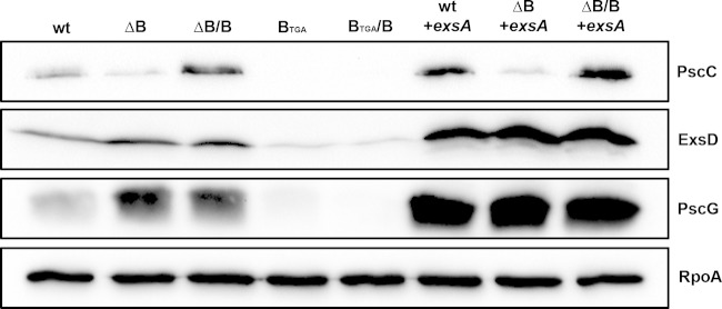 FIG 5