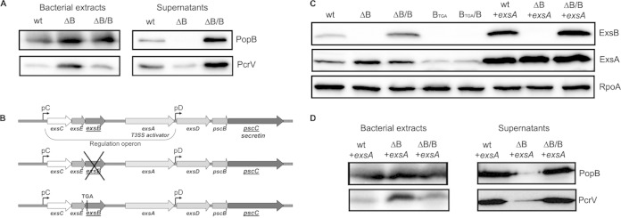 FIG 3