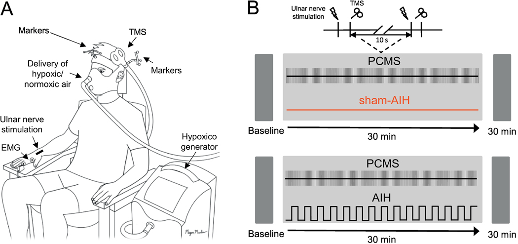 Figure 1.