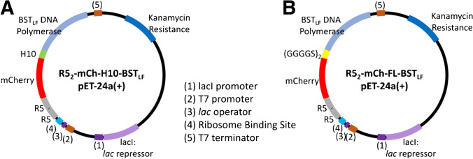 Fig. 1