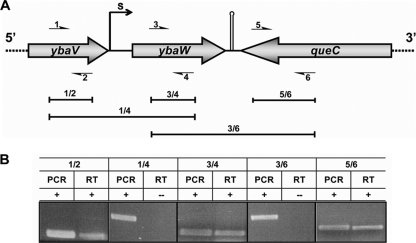 FIG. 2.