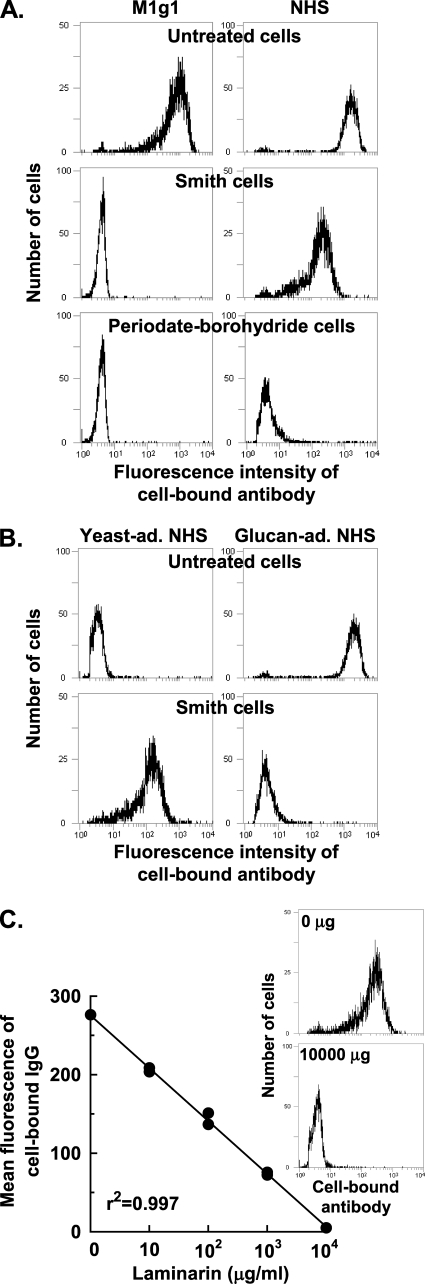 FIG. 1.