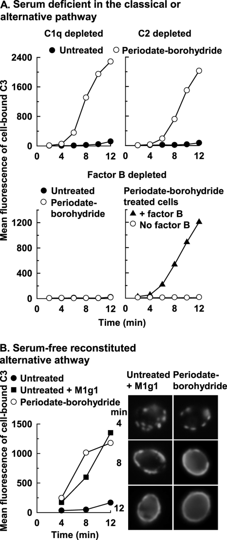 FIG. 3.