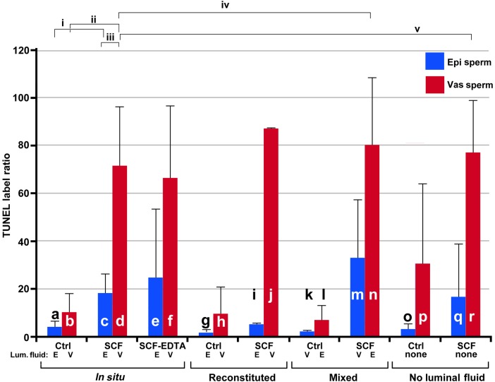 Figure 6