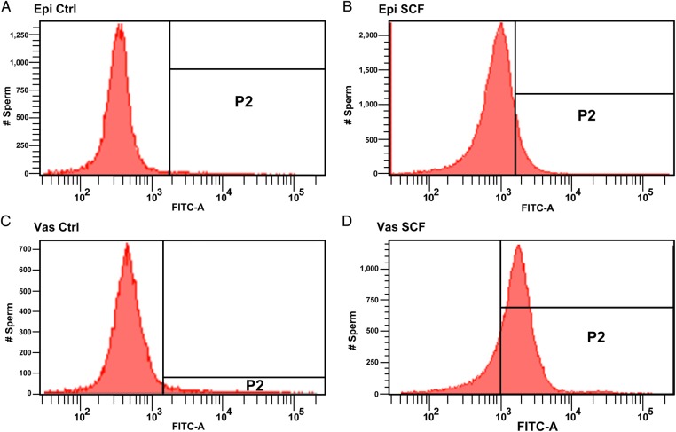 Figure 5