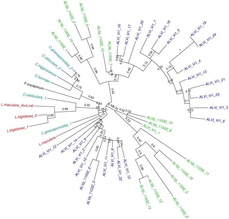 FIGURE 4