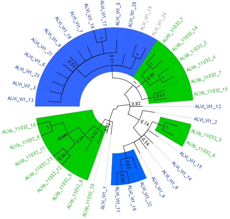 FIGURE 3