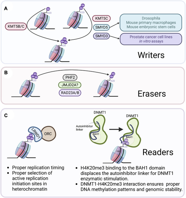 FIGURE 3