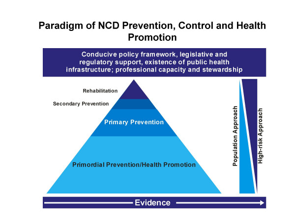 Prevention of non-communicable diseases in Pakistan: an integrated ...