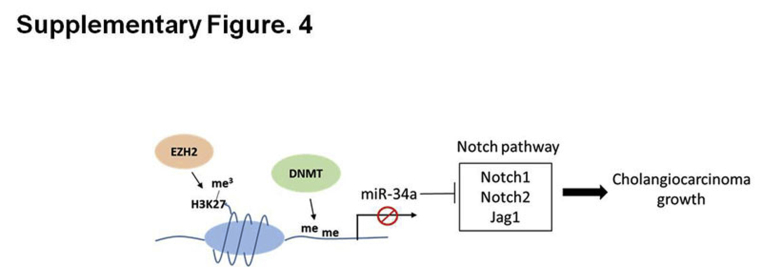 Supplementary Figure S4