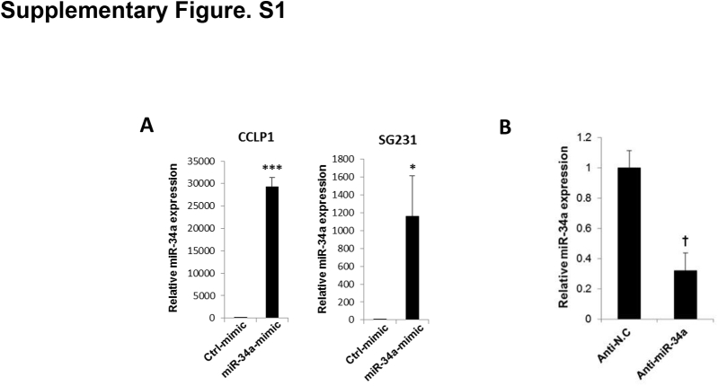 Supplementary Figure S1