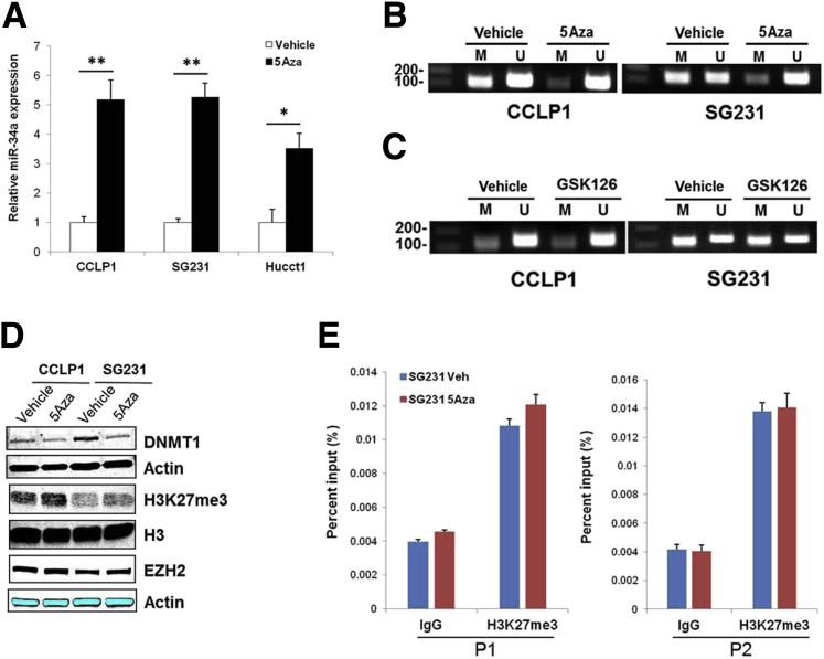 Figure 6