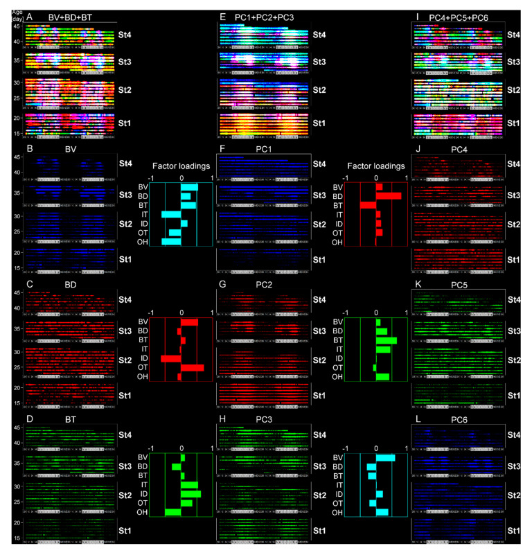 Figure 12