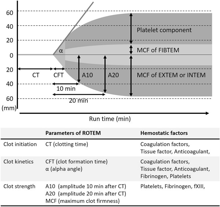 Fig. 1 