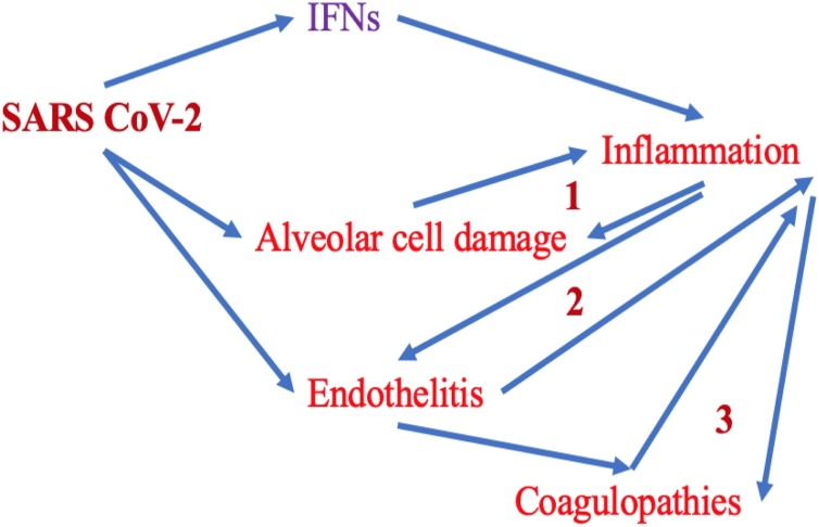 Fig. 2