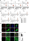 Figure 2—figure supplement 1.