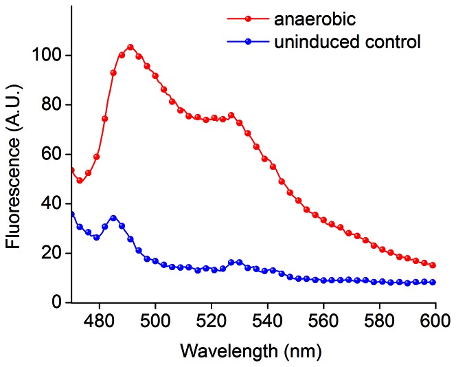 Figure 9