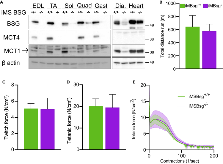 Figure 5