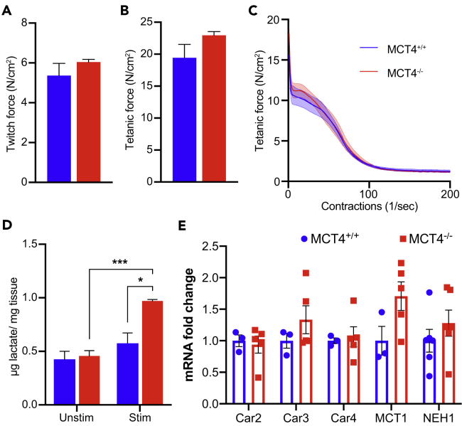 Figure 4