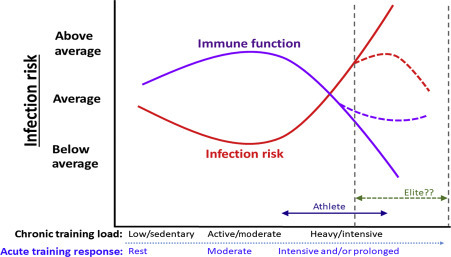 Figure 15.1