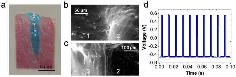 Figure 5