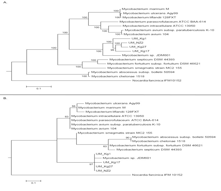 Fig 4