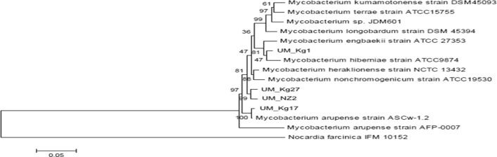 Fig 2