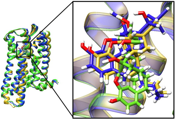 Fig. 3