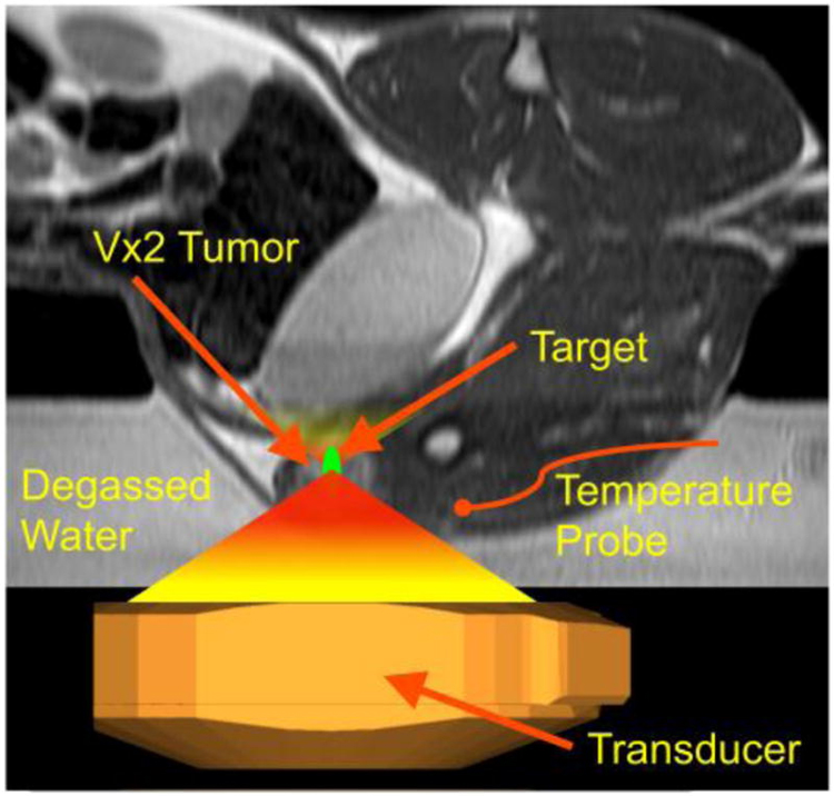 Figure 2: