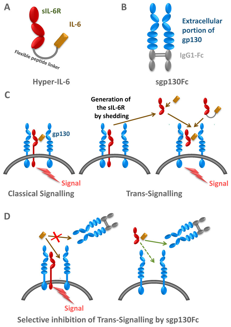 Figure 3. 