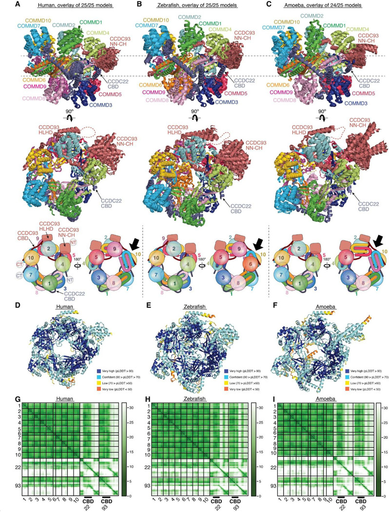 Extended Data Fig. 7.