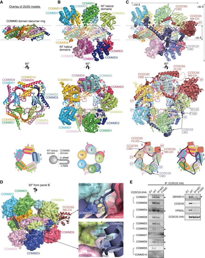 Fig. 7.