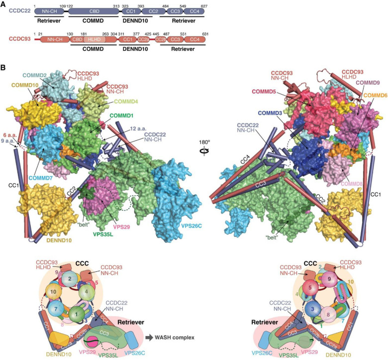 Fig. 8: