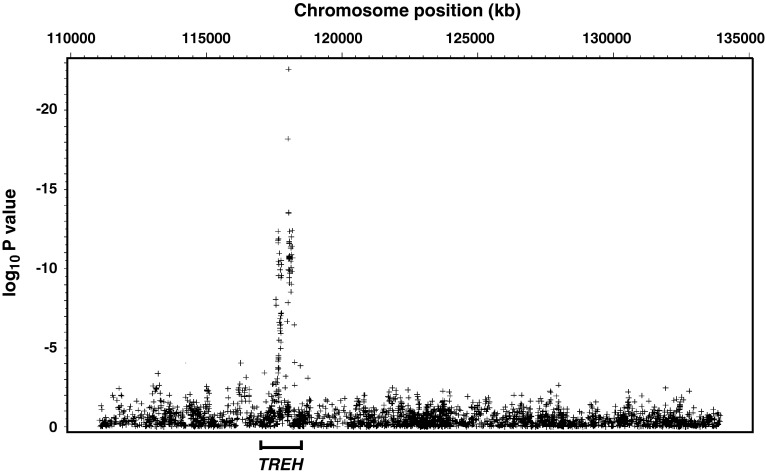 Fig. 3