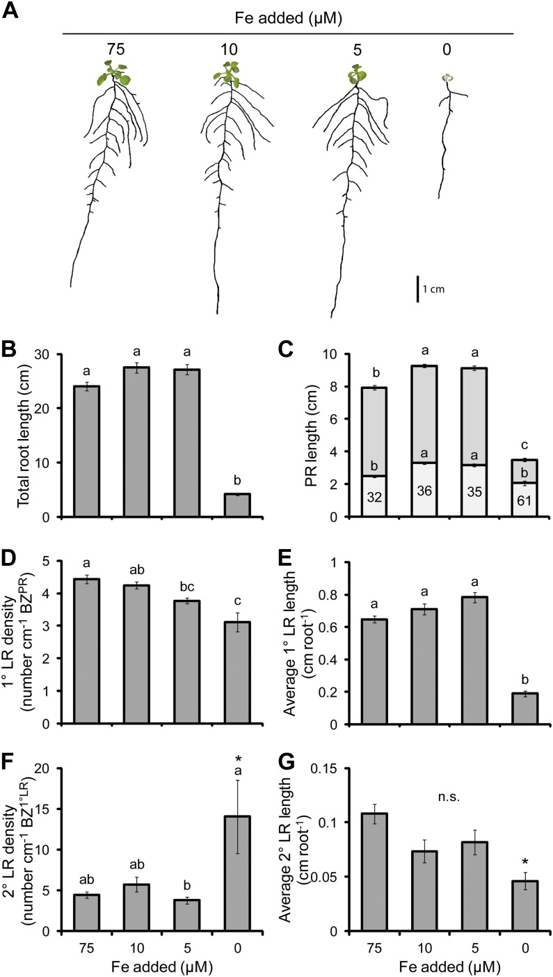 Figure 7.