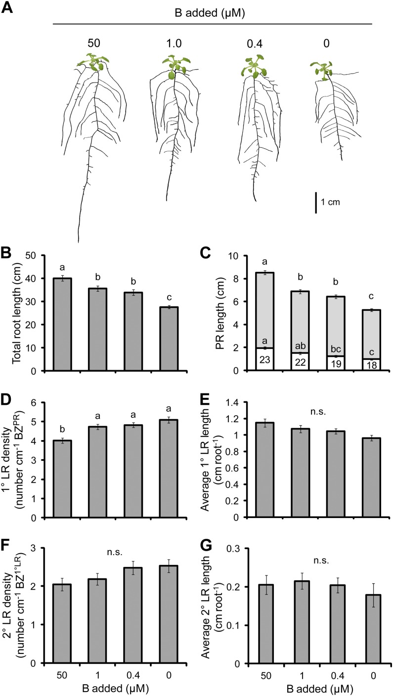 Figure 9.